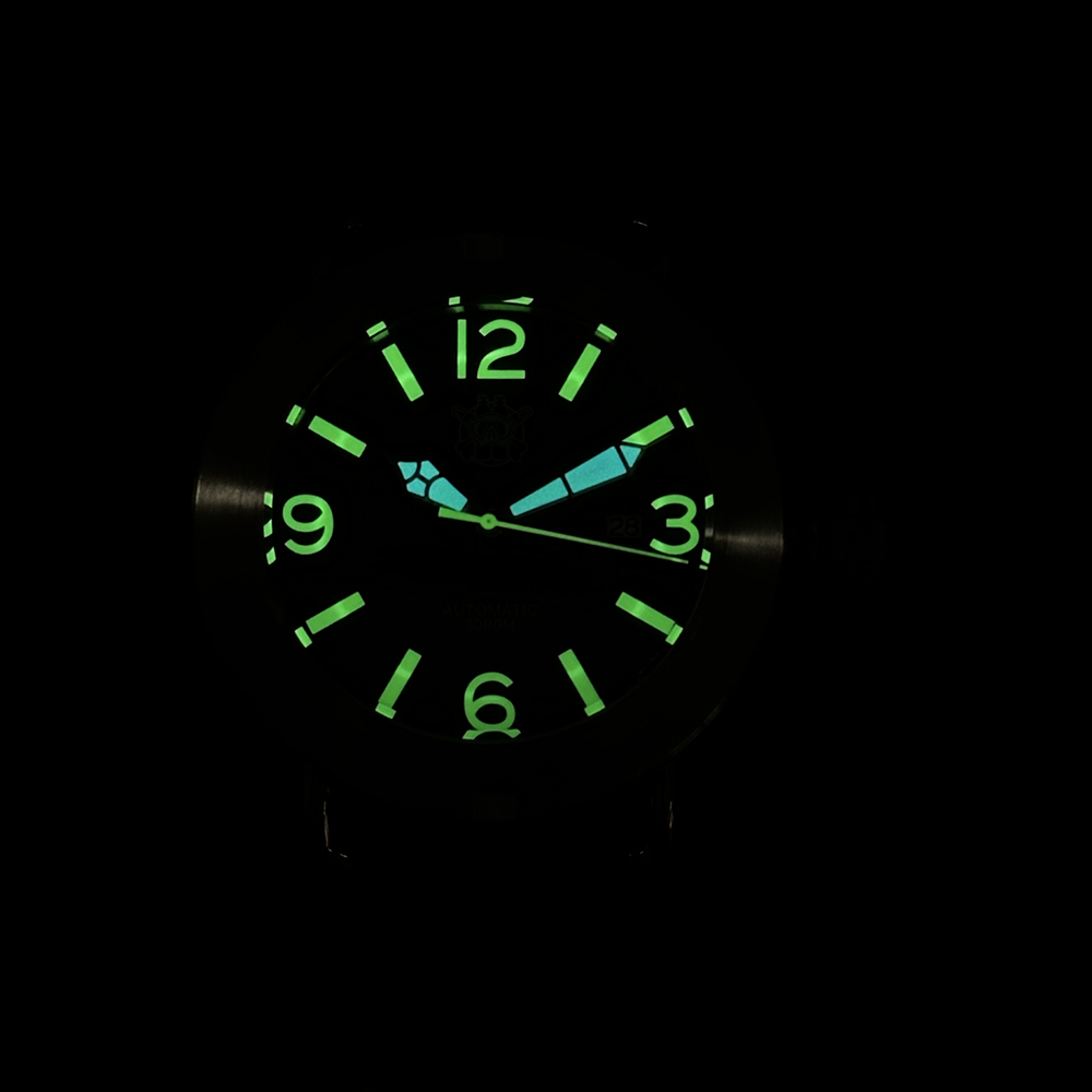 Steeldive 2025 montre SD1912 s - Seiko Watch Prospex avis et prix